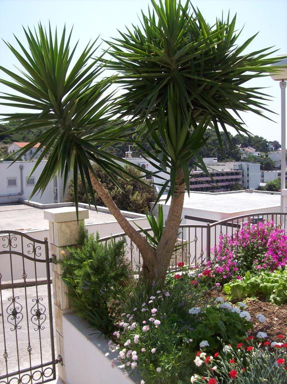 Apartments Prosperina Hvar Хвар Экстерьер фото